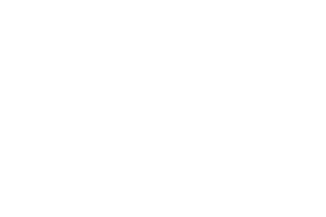 Ziru's Pizza & Panzarotti