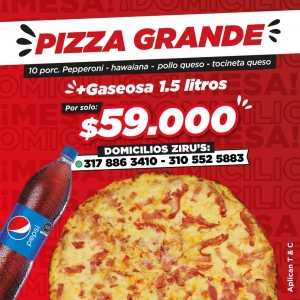 COMBO PIZZA GRANDE + GASEOSA 1.5Lt_1